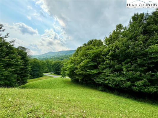 LOT 11 TRILLIUM LANE, LINVILLE, NC 28604 - Image 1