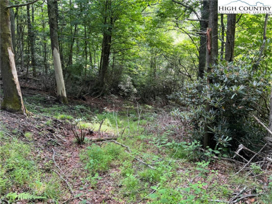 LOT 41 CIELO ROAD, BLOWING ROCK, NC 28605, photo 4 of 13