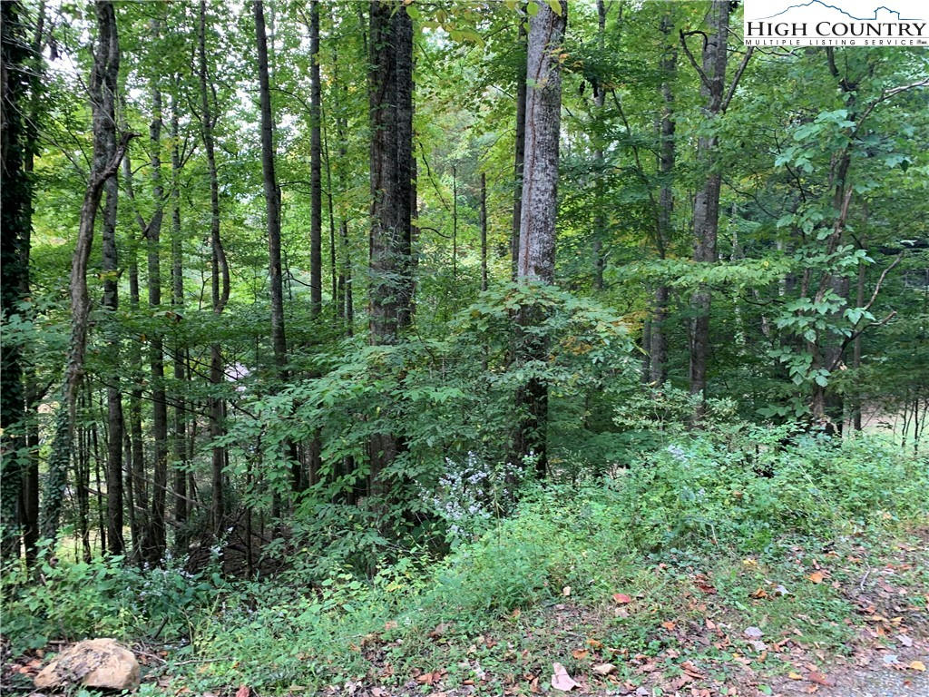 TBD IRONWOOD, BANNER ELK, NC 28604, photo 1 of 4