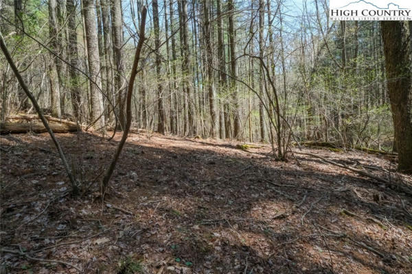 LOT 33 WOODLAND VALLEY ROAD, JEFFERSON, NC 28640, photo 4 of 20