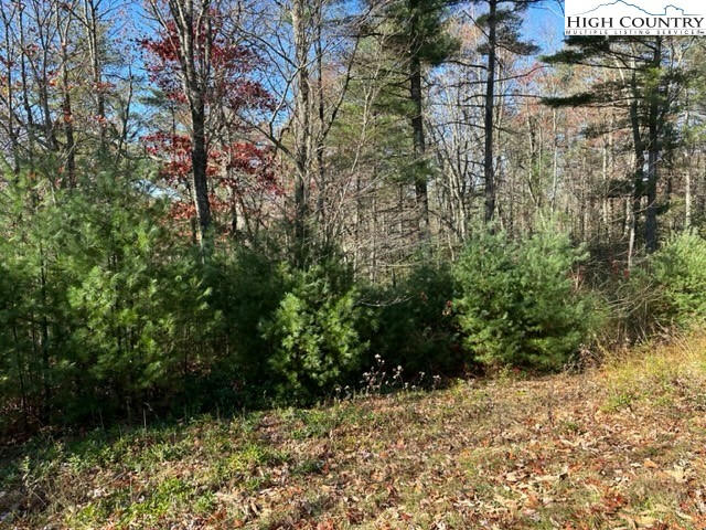 LOT 27 WALDEN LANE, WEST JEFFERSON, NC 28694, photo 1 of 11