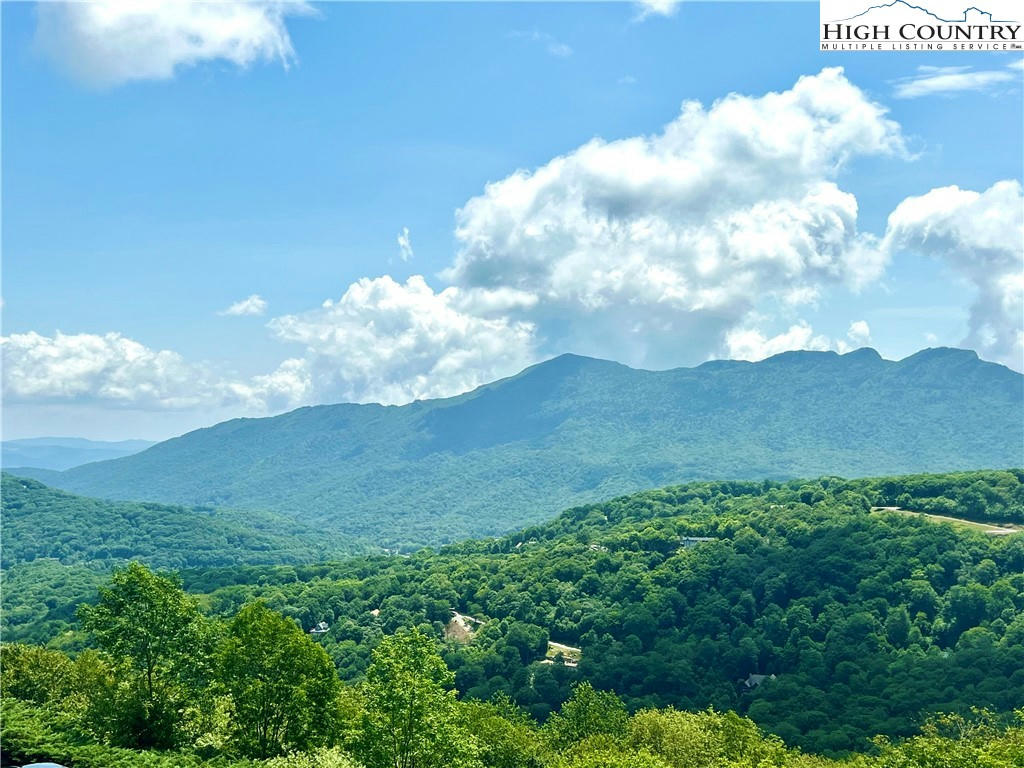 303 SUGAR TOP DR UNIT 2218, SUGAR MOUNTAIN, NC 28604, photo 1 of 29