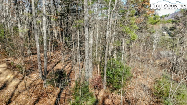 LOT 27 HIGHLAND MEADOWS COURT, FLEETWOOD, NC 28626, photo 3 of 4