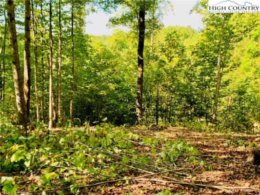 1.85 ACRES, LOT 925 HIGH VALLEY WAY, LENOIR, NC 28645, photo 5 of 46