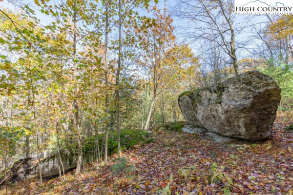 LOT 78 BELMONT, BOONE, NC 28607, photo 2 of 25