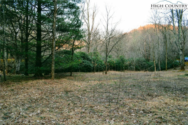 LOT 101 BEAVER LODGE TRAIL, BLOWING ROCK, NC 28605, photo 5 of 11