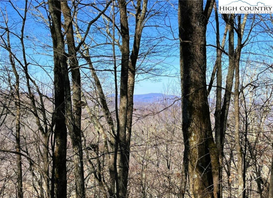 LOT #3 ROCKY TOP TRAIL, SEVEN DEVILS, NC 28604, photo 3 of 5