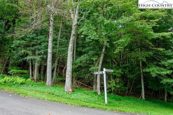 TBD MEADOW VIEW/LAKEVIEW DRIVE, ROARING GAP, NC 28668 - Image 1