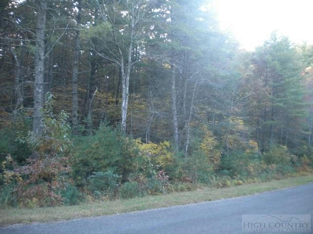 LOT 2 PINE CHASE, GLADE VALLEY, NC 28627, photo 1