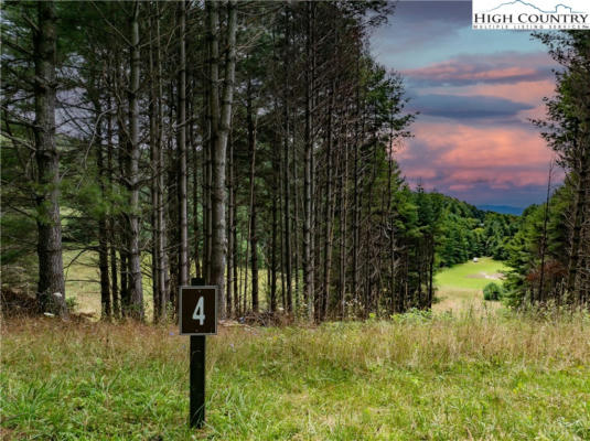 4 WILDCAT ROAD, DEEP GAP, NC 28618 - Image 1