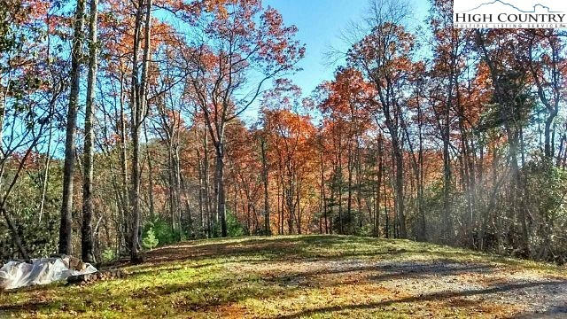 LOT 3 HIDDEN FOREST TRAIL, TODD, NC 28684 - Image 1