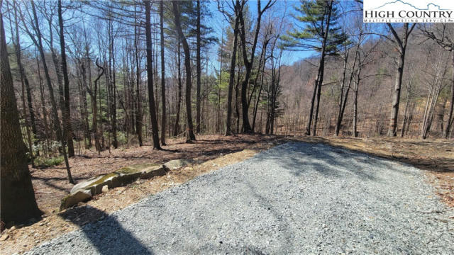 LOT 3 PHILLIPS GAP ROAD, PURLEAR, NC 28665, photo 2 of 6