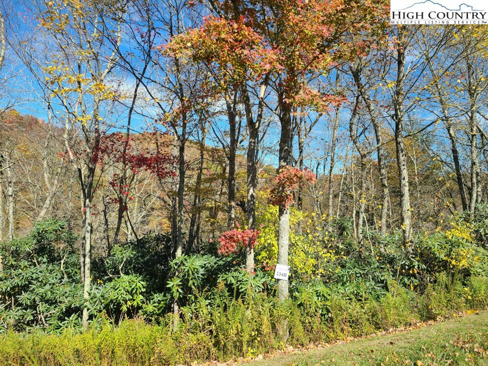 LOT 134R FIRETHORN TRAIL, BLOWING ROCK, NC 28605, photo 1 of 7