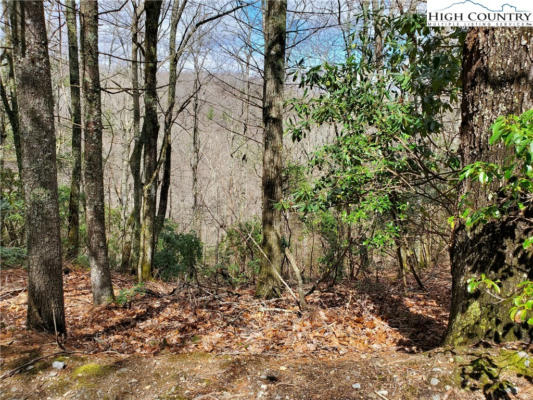 LOT 5 RIVER RIDGE ROAD, BOONE, NC 28604 - Image 1