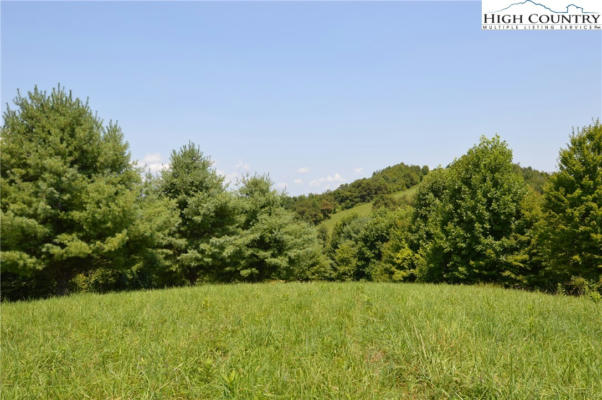 LOT #16 TWIN OAKS MOUNTAIN BOULEVARD, SPARTA, NC 28675 - Image 1