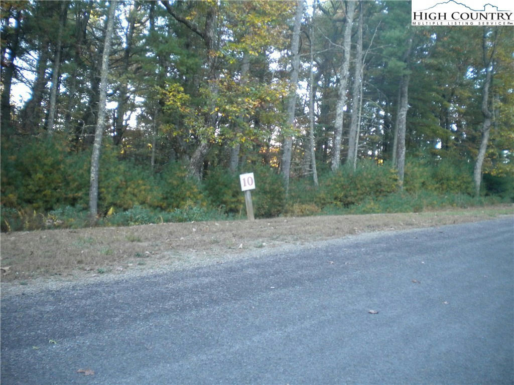 LOT 10 PINE CHASE DRIVE, GLADE VALLEY, NC 28627, photo 1