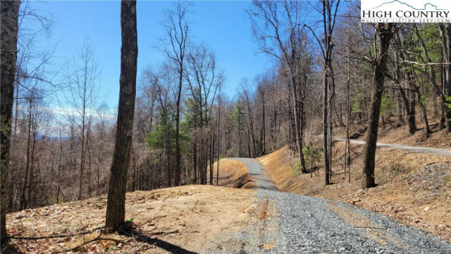 LOT 1 PHILLIPS GAP ROAD, PURLEAR, NC 28665, photo 2 of 6