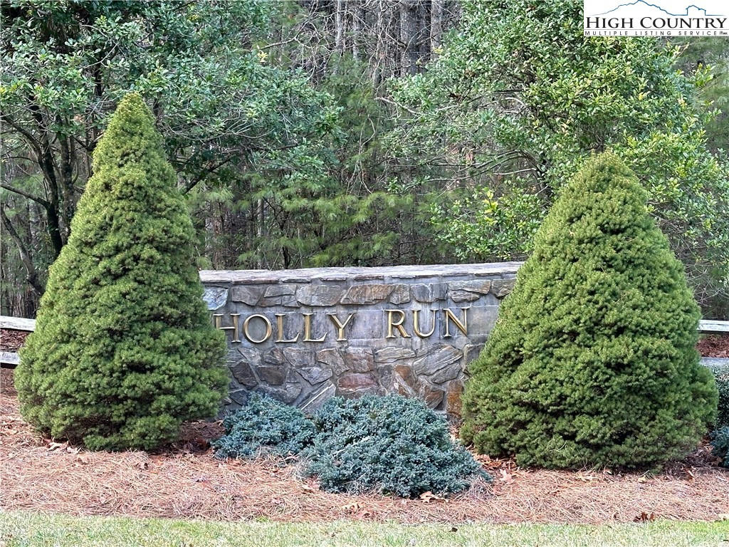 TBD HOLLY RUN, GLADE VALLEY, NC 28627, photo 1 of 9