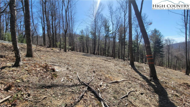 LOT 2 PHILLIPS GAP ROAD, PURLEAR, NC 28665, photo 5 of 6