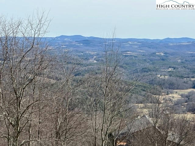 130 POINT LOOKOUT LN, INDEPENDENCE, VA 24348, photo 1 of 26