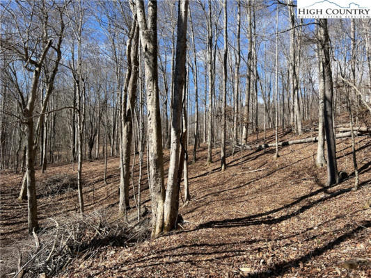 TBD (LOT 3) POPLAR FOREST DRIVE, BOONE, NC 28607, photo 3 of 12