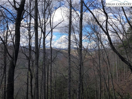 LOT 141B HICKORY HOLLOW ROAD, PURLEAR, NC 28665 - Image 1
