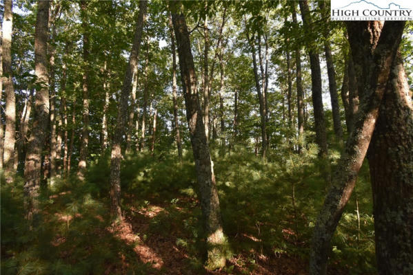 LOT 2 RIDGE TOP LANE, FLEETWOOD, NC 28626, photo 2 of 4