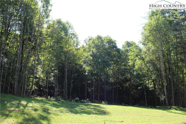 LOT 2 POPLAR FOREST DRIVE, BOONE, NC 28607, photo 2 of 46