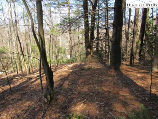 LOT 6 GREEN MOUNTAIN ROAD, SPARTA, NC 28675 - Image 1