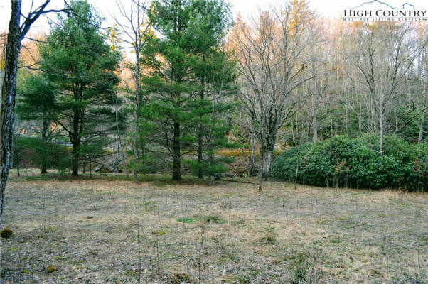 LOT 101 BEAVER LODGE TRAIL, BLOWING ROCK, NC 28605, photo 4 of 11