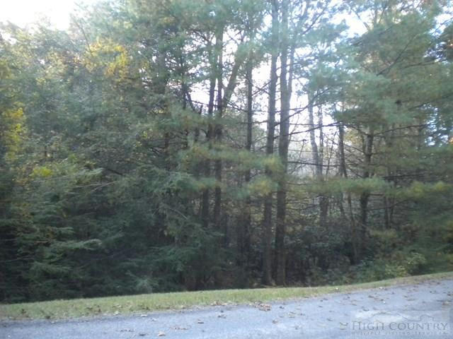 LOT 1 PINE CHASE, GLADE VALLEY, NC 28627, photo 1