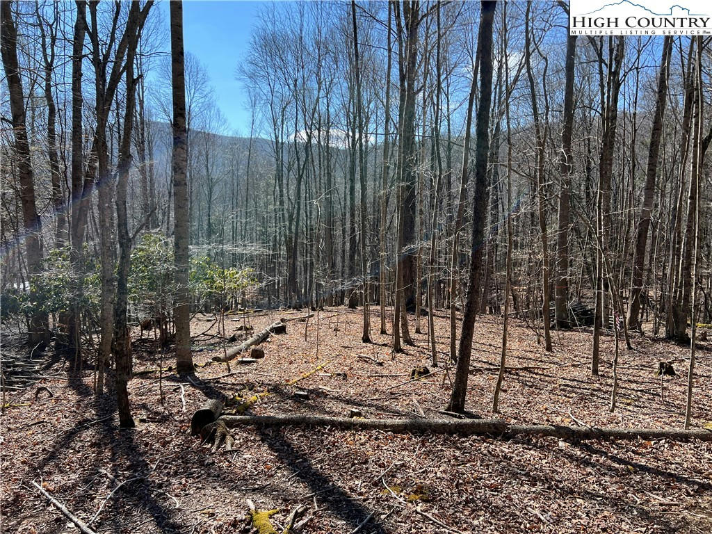 TBD (LOT 3) POPLAR FOREST DRIVE, BOONE, NC 28607, photo 1 of 12