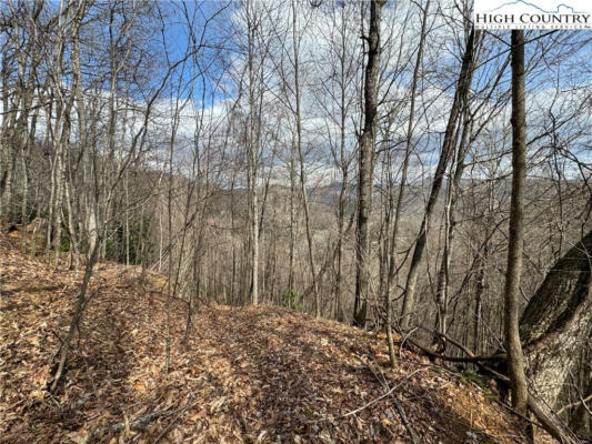 20+/- ACRES DOUBLEHEAD MOUNTAIN ROAD, NEWLAND, NC 28657, photo 3 of 18