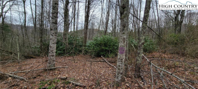 LOT 3 FAIRVIEW CHURCH ROAD, LANSING, NC 28643, photo 4 of 17