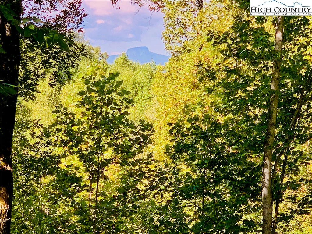 1.85 ACRES, LOT 925 HIGH VALLEY WAY, LENOIR, NC 28645, photo 1 of 46