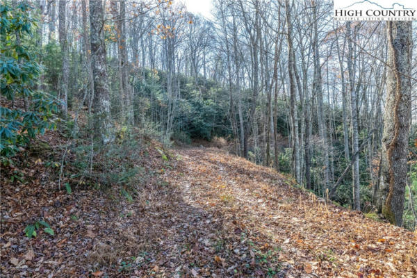 LOT #10 AND #12 BAREFOOT WOODS, BANNER ELK, NC 28604 - Image 1
