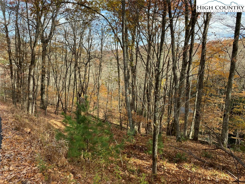 LOT R3 COYOTE TRAILS, BOONE, NC 28607, photo 1 of 48