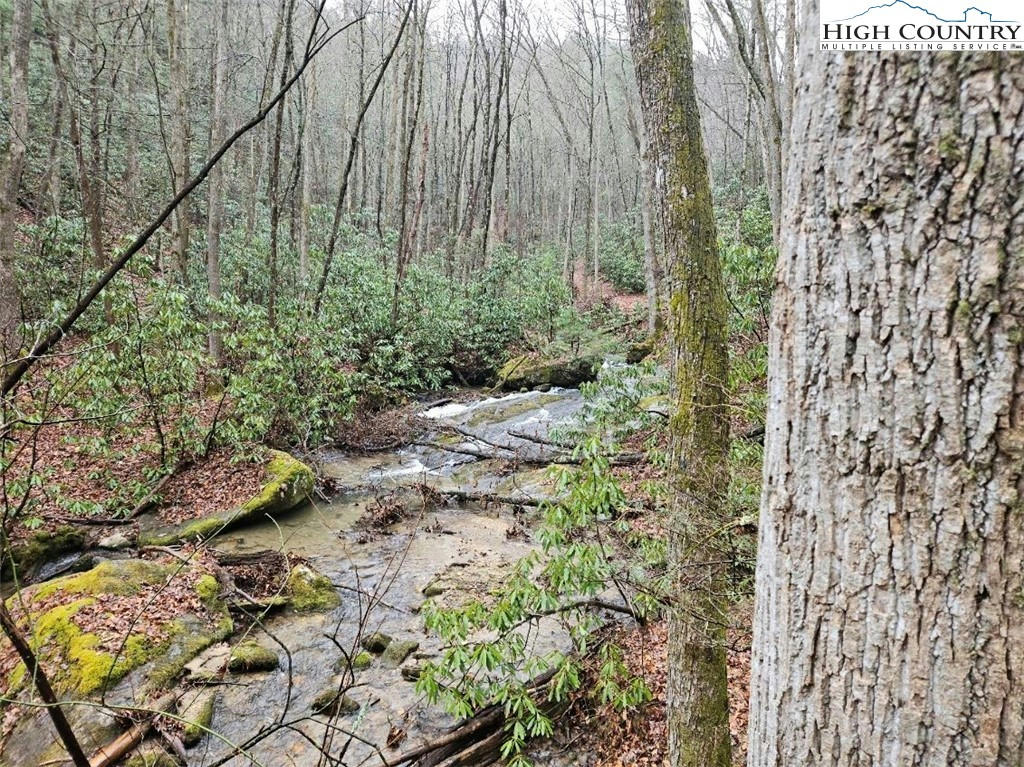 LOT 4 CLEAR BRANCH ROAD, MILLERS CREEK, NC 28651, photo 1 of 7