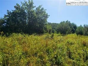 LOT #22 ISABEL WAY, PINEY CREEK, NC 28663 - Image 1