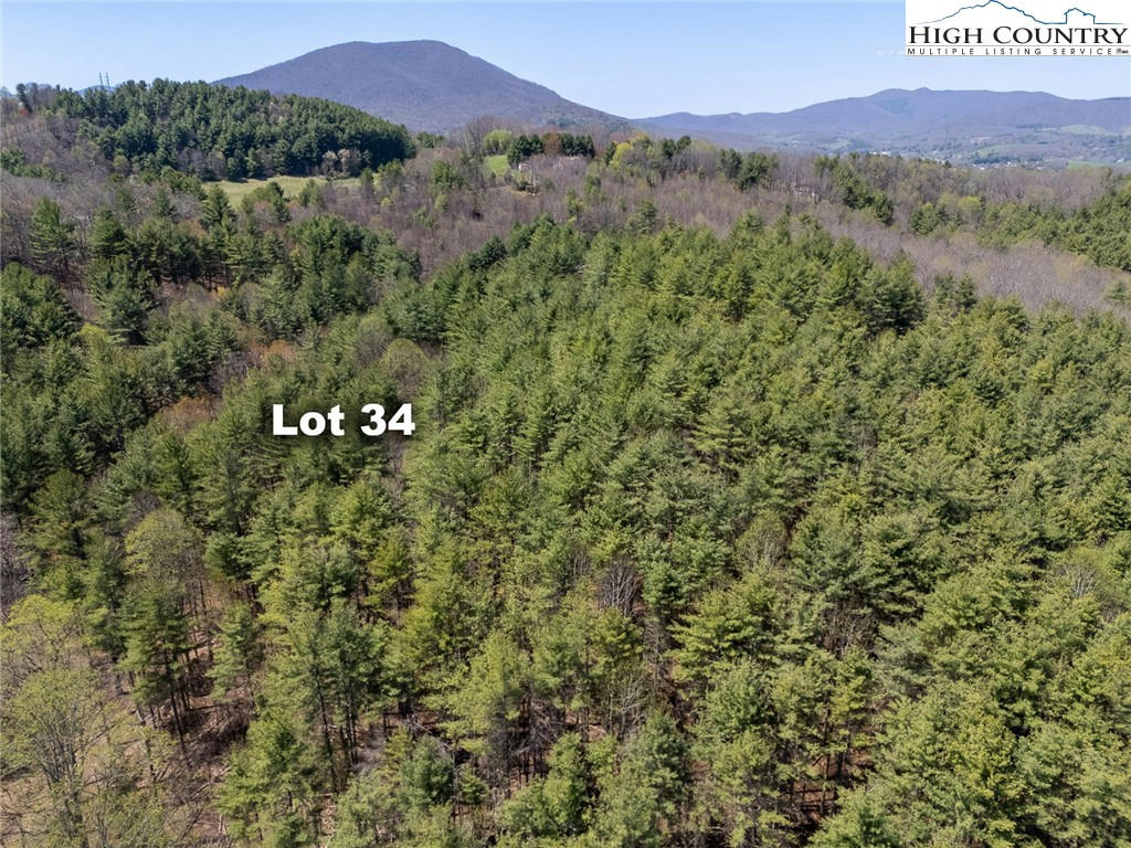 LOT 34 WOODLAND VALLEY ROAD, JEFFERSON, NC 28640, photo 1 of 19