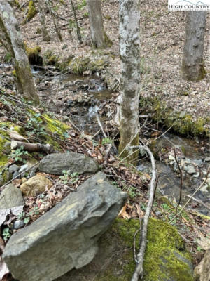 20+/- ACRES DOUBLEHEAD MOUNTAIN ROAD, NEWLAND, NC 28657, photo 4 of 18