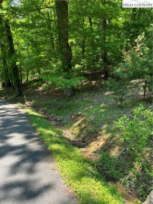 LOT 50 FIRE PINK ROAD, BOONE, NC 28607, photo 5 of 17
