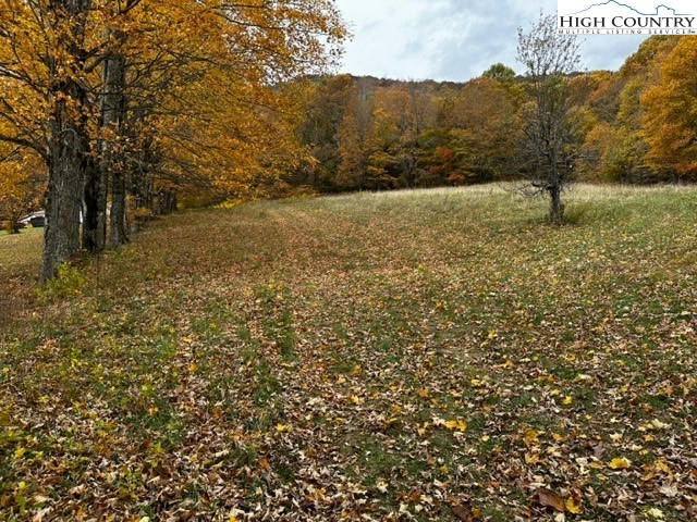 TBD - TRACT ONE, TRACT TW LONGHOPE ROAD, TODD, NC 28684, photo 1 of 15
