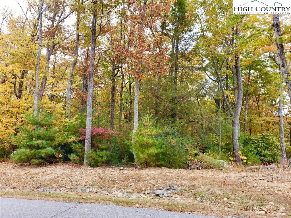 LOT 17 SUNSET RIDGE DRIVE, BOONE, NC 28607, photo 1 of 12