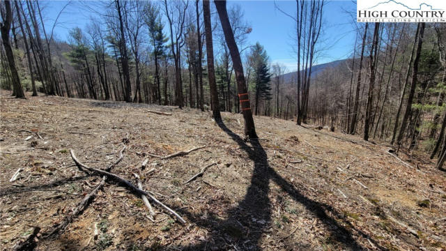 LOT 2 PHILLIPS GAP ROAD, PURLEAR, NC 28665, photo 4 of 6