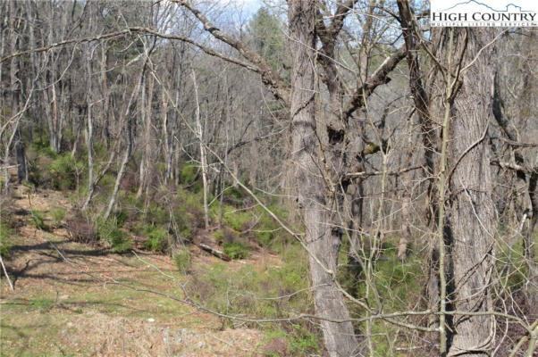 LOT #8 RIVER WALK DRIVE, SPARTA, NC 28675, photo 3 of 14