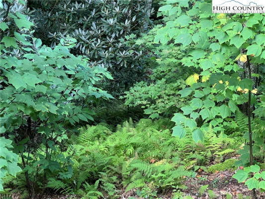 LOT 62 MOUNTAIN BREEZE KNOLL, BLOWING ROCK, NC 28605, photo 3 of 12