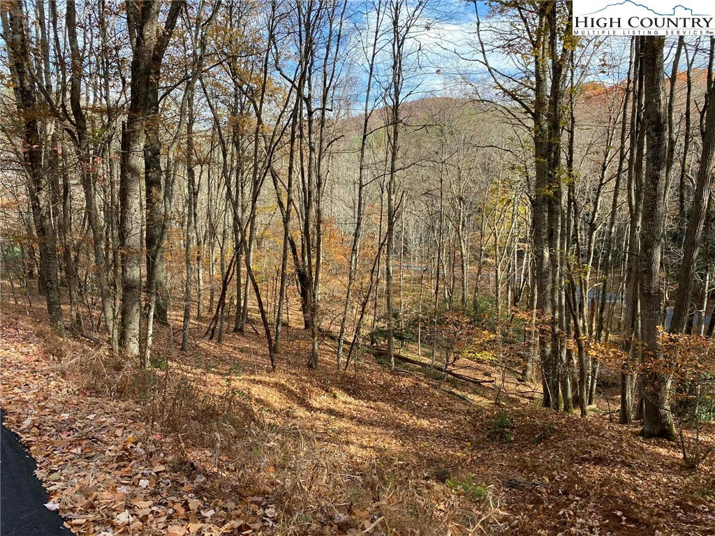 LOT 4 COYOTE TRAILS, BOONE, NC 28607, photo 1 of 46