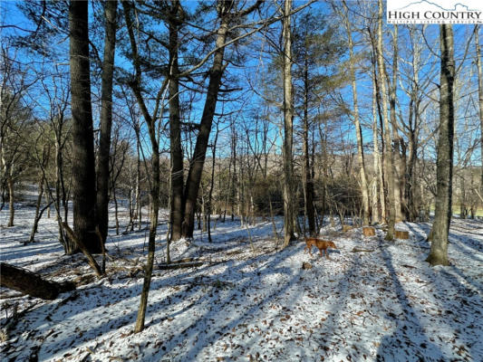 T-4 SENECA DRIVE, BOONE, NC 28607, photo 2 of 14