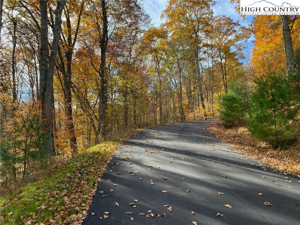 LOT 2 COYOTE TRAILS, BOONE, NC 28607, photo 1 of 9